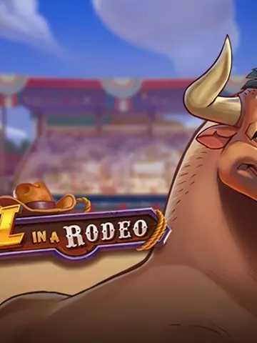 Bull in a Rodeo