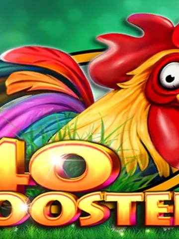 40 Roosters